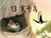 2022-2023学年二年级上册语文部编版03 教学课件_寒号鸟4