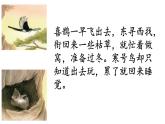 2022-2023学年二年级上册语文部编版03 教学课件_寒号鸟4