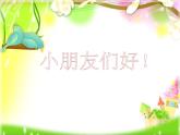 2022-2023学年二年级上册语文部编版03 教学课件_难忘的泼水节 4