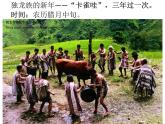 2022-2023学年二年级上册语文部编版03 教学课件_难忘的泼水节 4