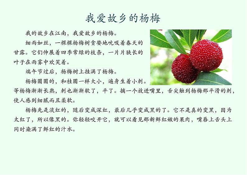 06 拓展阅读_我爱故乡的杨梅第1页