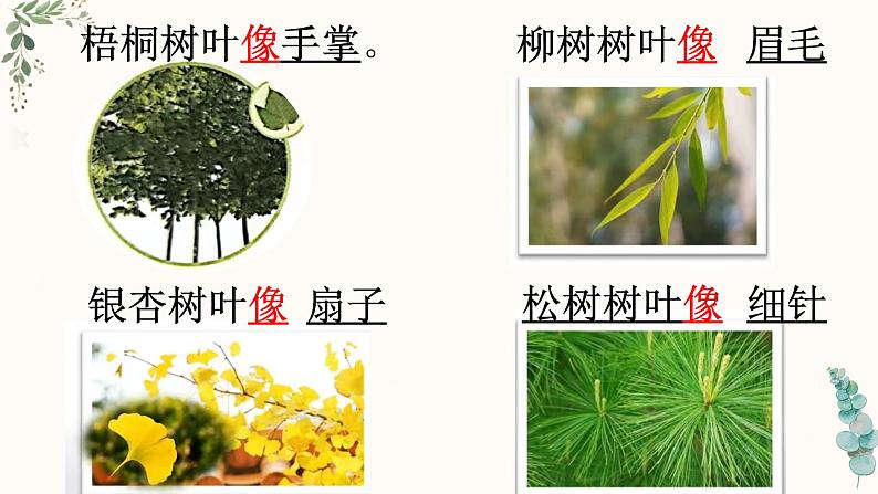 部编版语文《树之歌》PPT08