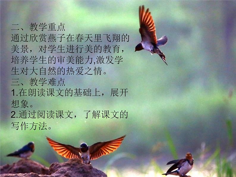 三年级下册语文课件：第1单元 2燕子（人教部编版）(共13张PPT)03