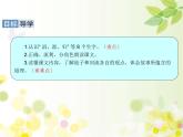 三年级下册语文课件-8　池子与河流 部编版(共19张PPT)