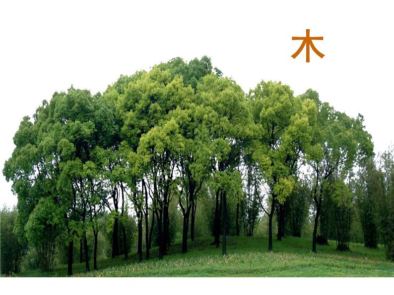 部编版语文一年级上册-03识字（一）-02金木水火土-课件0103