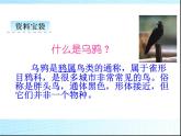 部编版语文一年级上册-08课文（四）-02乌鸦喝水-课件04