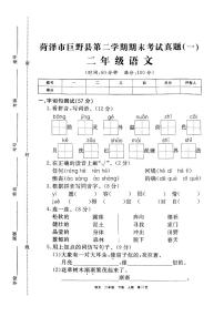 山东省菏泽市巨野县2020—2021学年二年级语文下学期期末试卷（有答案）