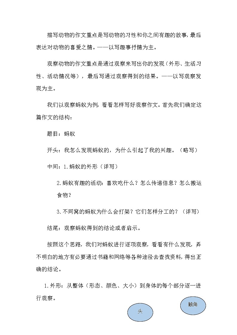 第六讲  《明察秋毫见学问》 作文教案+课件02