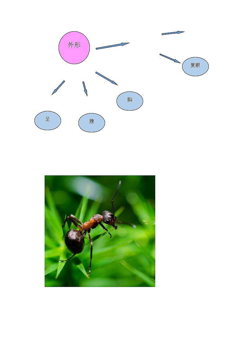 第六讲  《明察秋毫见学问》 作文教案+课件03