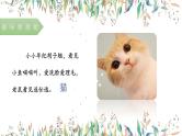 第六讲  《明察秋毫见学问》 作文教案+课件