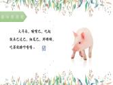 第六讲  《明察秋毫见学问》 作文教案+课件