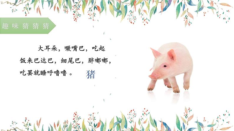 第六讲  《明察秋毫见学问》 作文教案+课件03