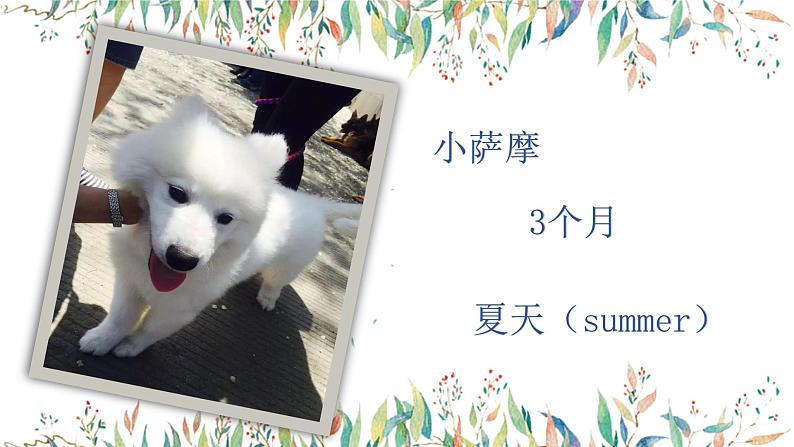 第六讲  《明察秋毫见学问》 作文教案+课件08