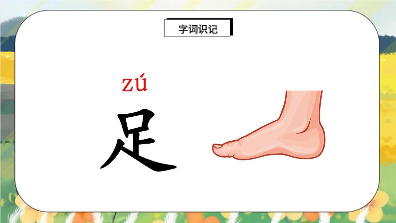 识字3 《口耳目》课件PPT+生字课件+教案+练习+音视频素材07