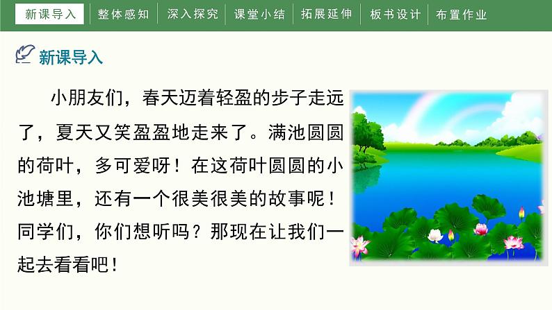 部编版小学语文一年级下册13《荷叶圆圆》（课件）第4页