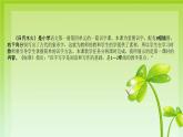 2022部编版小学一年级语文上册《日月水火》说课课件（含教学反思）