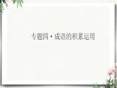三升四语文衔接 专题四·成语的积累和运用 课件 人教统编版