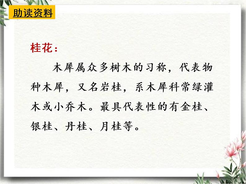 3 桂花雨 教学课件 2022-2023学年第一学期 五年级上册语文人教部编版第3页