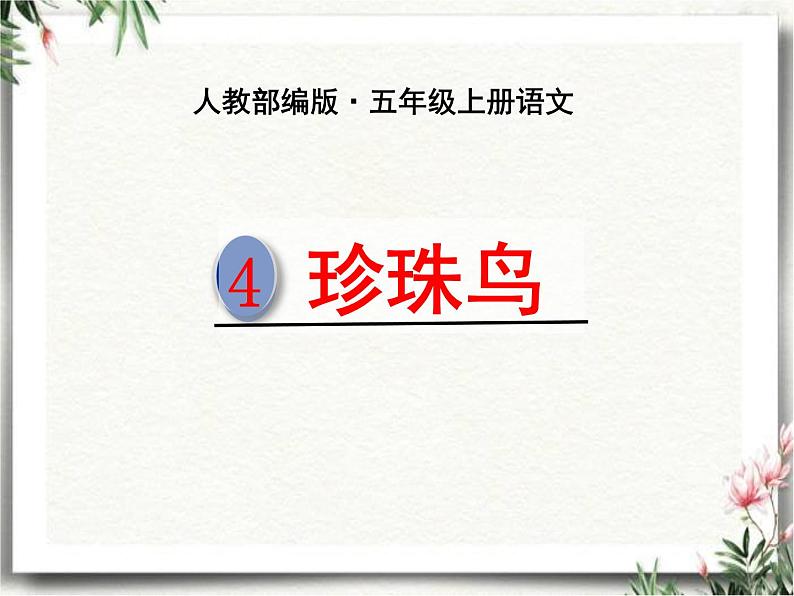 4 《珍珠鸟》优秀课件 2022-2023学年第一学期人教部编版五年级语文01