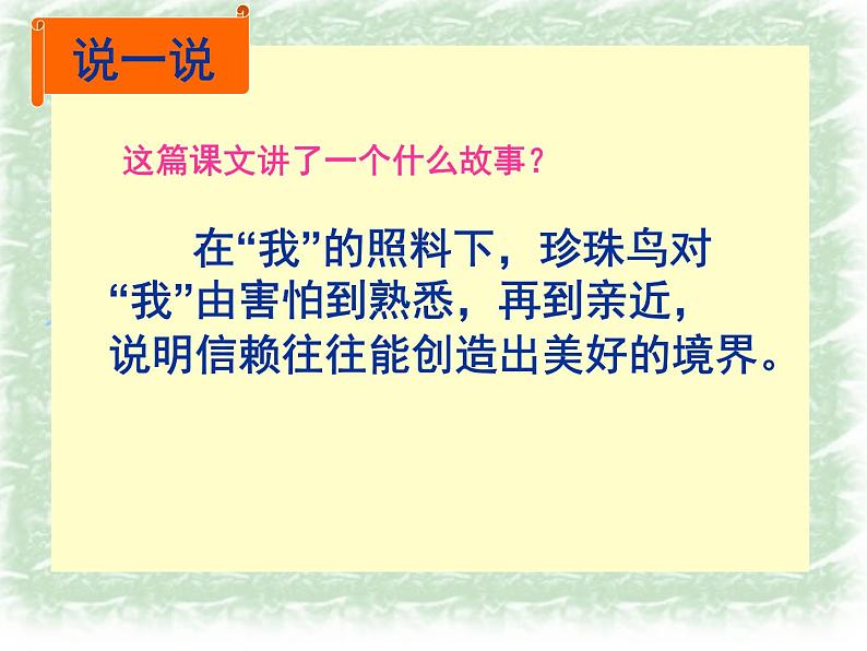 4 《珍珠鸟》优秀课件 2022-2023学年第一学期人教部编版五年级语文08