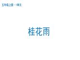 桂花雨  课件 部编版语文五年级上册