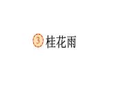 桂花雨  课件 部编版语文五年级上册