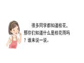 桂花雨  课件 部编版语文五年级上册