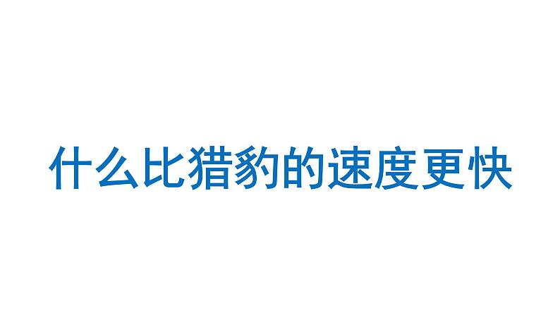 什么比猎豹的速度更快  课件 部编版语文五年级上册01