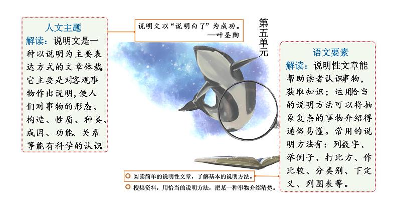 太阳  课件 部编版语文五年级上册05