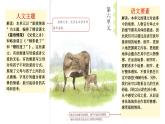 慈母情深  课件 部编版语文五年级上册