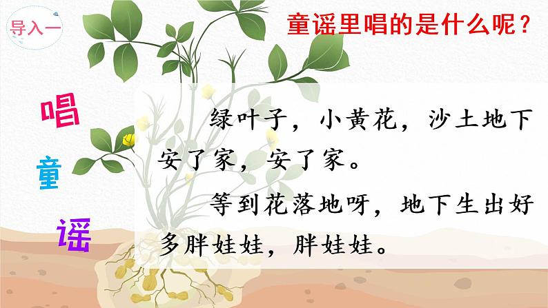 2《落花生》课件PPT+生字课件+教案+练习+音视频素材03