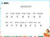 《树之歌》第二课时课件+教案