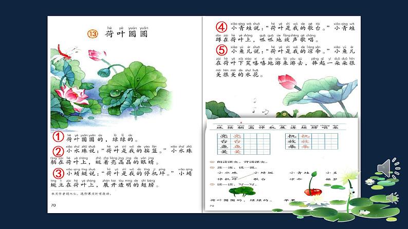 一年级下册语文课件-13、荷叶圆圆（共19张PPT）04