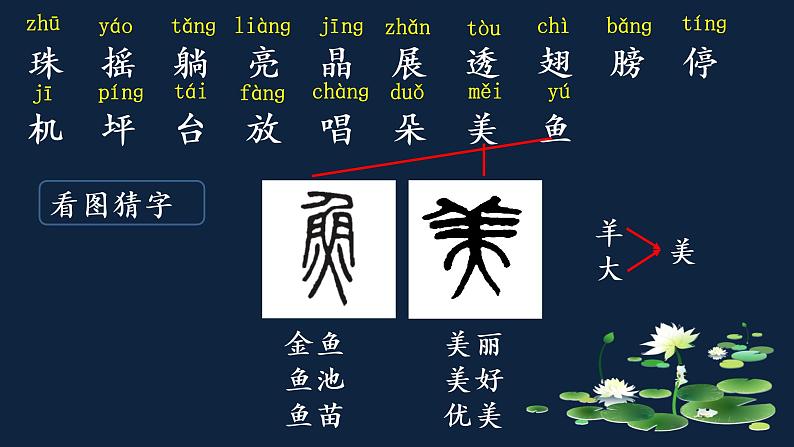 一年级下册语文课件-13、荷叶圆圆（共19张PPT）07