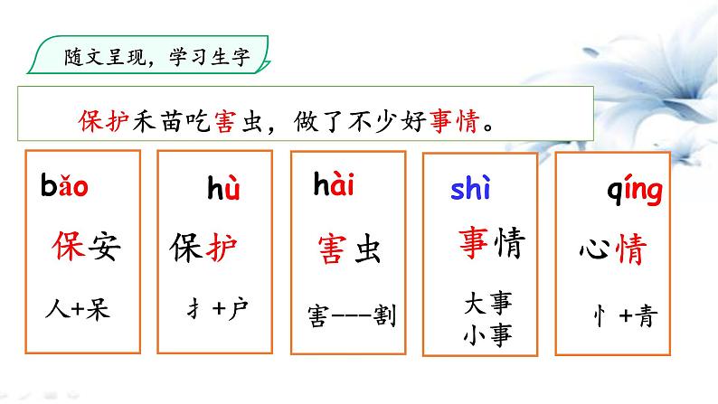 一年级下册语文课件 识字3 小青蛙 第1课时 （共14张PPT）人教统编版05