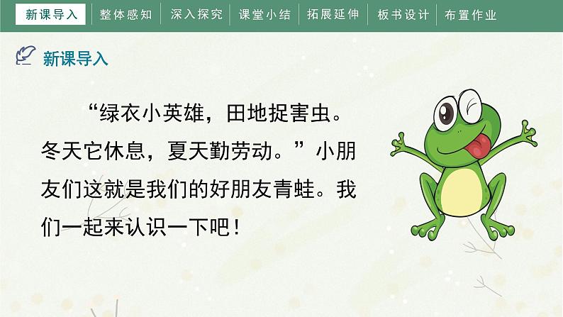 部编版小学语文一年级下册《小青蛙》教学课件04