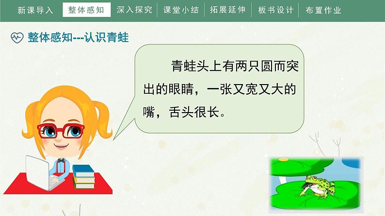 部编版小学语文一年级下册《小青蛙》教学课件07