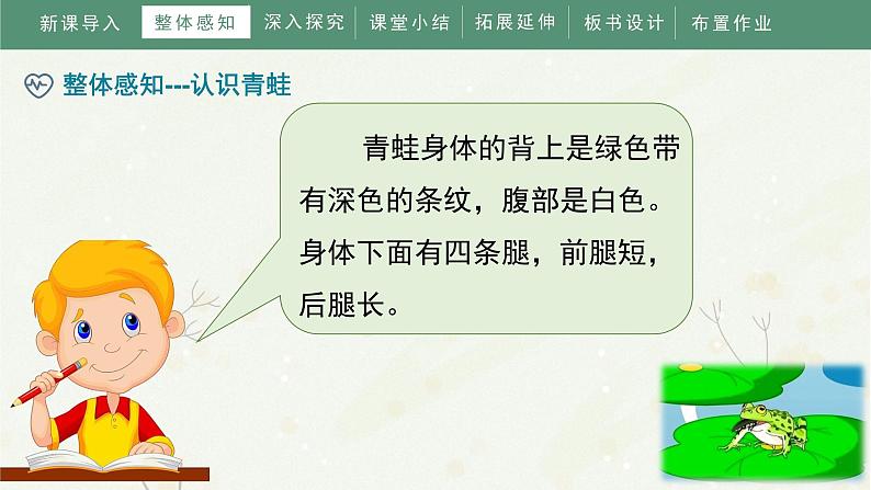 部编版小学语文一年级下册《小青蛙》教学课件08