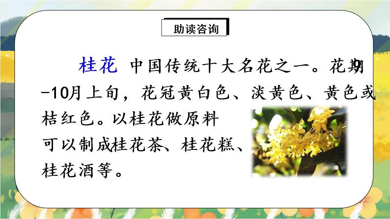 3《桂花雨》课件PPT+生字课件+教案+练习+音视频素材04