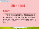 四年级语文下册课件-14 母鸡9-部编版(共18张PPT)