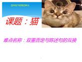 四年级语文下册课件-13 猫16-部编版(共14张PPT)