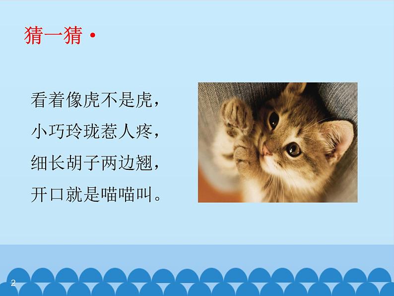 四年级语文下册课件-13 猫 部编版(共10张PPT)02