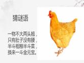 四年级语文下册课件-14 母鸡20-部编版(共17张PPT)