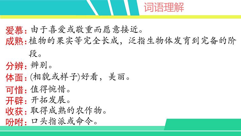 部编版五年级语文上册课件 第一单元 2落花生08