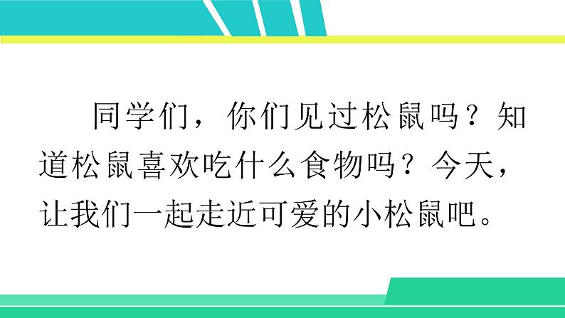 部编版五年级语文上册课件 第五单元 17 松鼠02