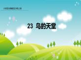 部编版五年级语文上册课件 第七单元 23 鸟的天堂