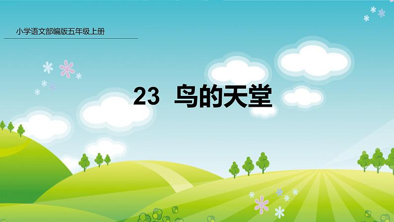 部编版五年级语文上册课件 第七单元 23 鸟的天堂01