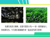 部编版五年级语文上册课件 第七单元 23 鸟的天堂