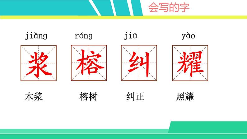 部编版五年级语文上册课件 第七单元 23 鸟的天堂04