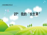 部编版五年级语文上册课件 第八单元 27 我的“长生果”